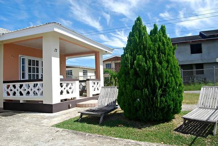 Sue'S Homestay Κράιστ Τσερτς Εξωτερικό φωτογραφία