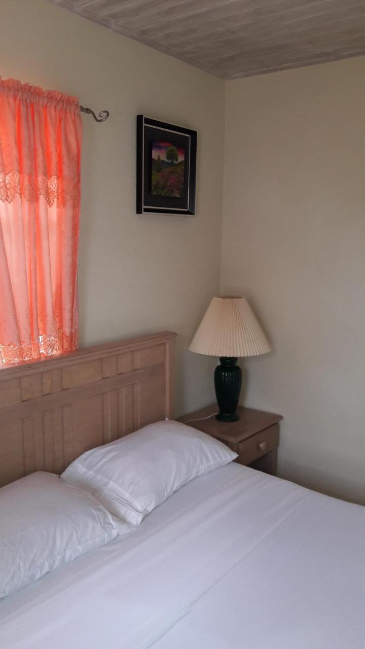 Sue'S Homestay Κράιστ Τσερτς Εξωτερικό φωτογραφία