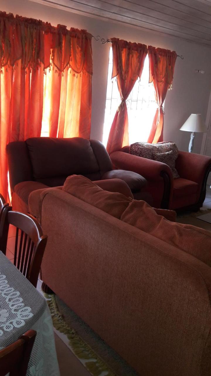 Sue'S Homestay Κράιστ Τσερτς Εξωτερικό φωτογραφία