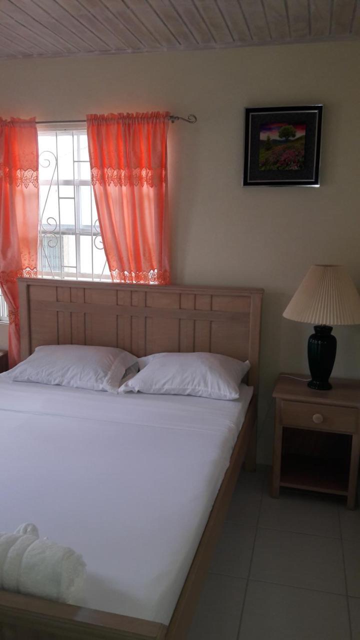 Sue'S Homestay Κράιστ Τσερτς Εξωτερικό φωτογραφία