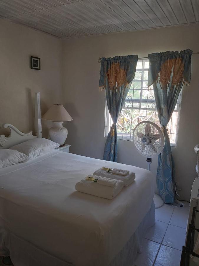 Sue'S Homestay Κράιστ Τσερτς Εξωτερικό φωτογραφία